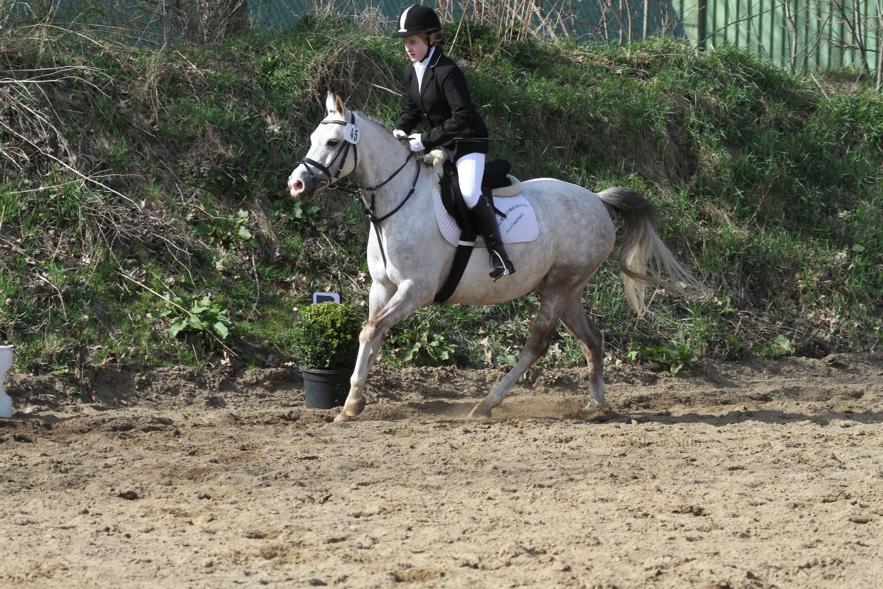 Bild 1182 - WBO-Turnier am 9.4.11